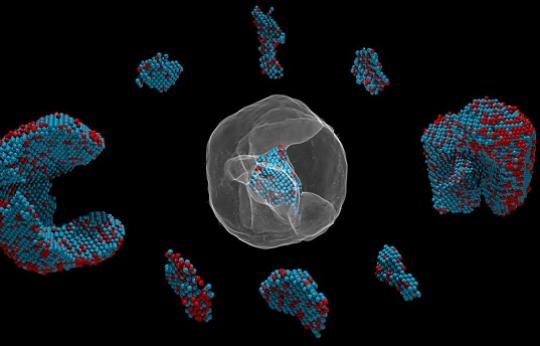 atomic electron tomography